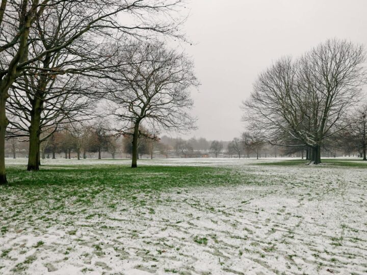 Hyde Park